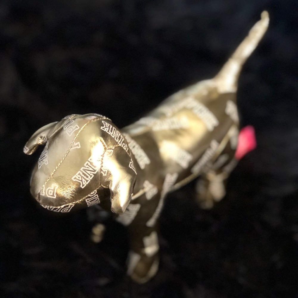 Gold VS PINK Dog